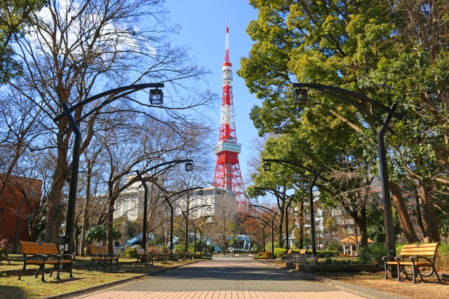 東京都港区にある芝公園から見える東京タワー